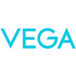 VEGA Hair Styler