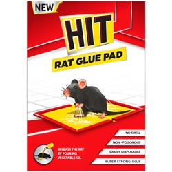 HIT Rat Glue Pad-Regular Size Pad/1Pc