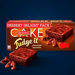 Britannia Fudge It Soft Chocolate Brownie cake-40gm Pouch