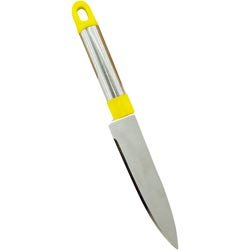 Heavy Duty Fancy Stainless Steel Knife for Fruits,Vegetable with Handle(L=24cm)