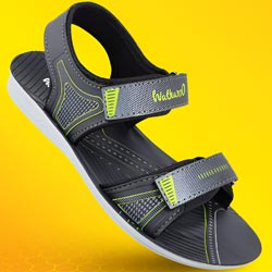 Walkaroo Boy Kids Back Belt Sandals-Art No:WG5783/GREY GREEN