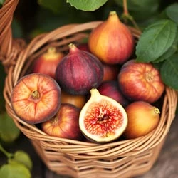 Rich Fiber Fig Fruits
