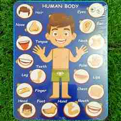 Wooden Human Body Parts Montessori Board