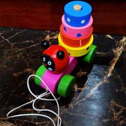 Pull Along Wooden Shape Sorter