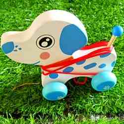 Wooden Pull Along White Dog Toy with Rope for 12+ Months