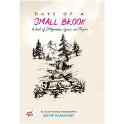 Days of a Small Brook